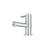 Vòi chậu lavabo lạnh Caesar B040C