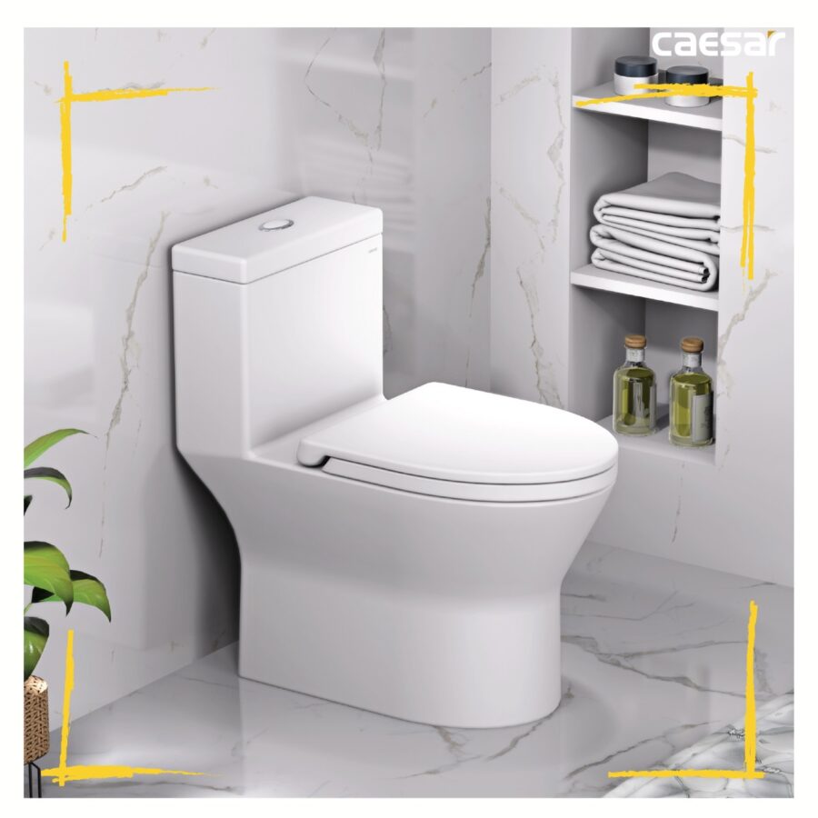 Bồn cầu 1 khối nắp rửa cơ Caesar C1374F + TAF060 (CD1374+TAF060)