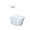 Bồn cầu treo tường Caesar CPT1505 gồm két nước âm tường