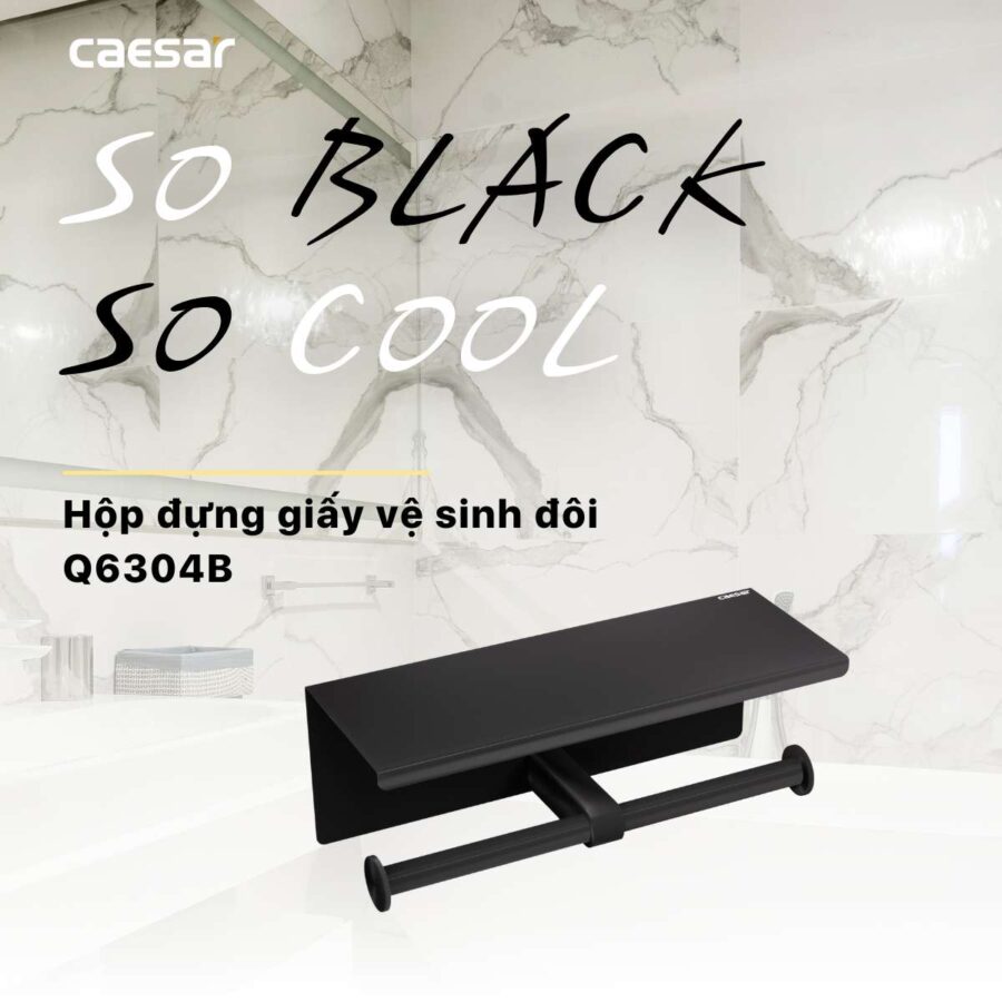Móc giấy vệ sinh đôi Caesar Q6304B