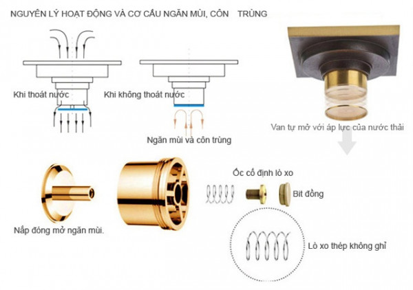 Phễu thoát sàn bằng đồng 8x20cm Kanly GCP82