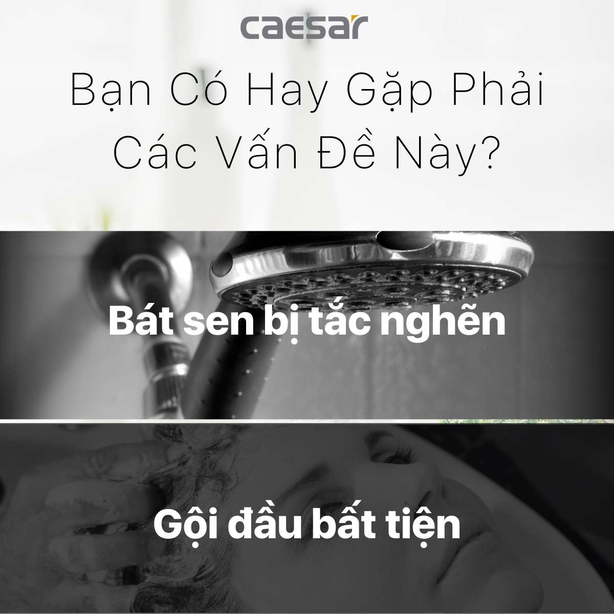 Tay sen tắm 3 chế độ Caesar SH133