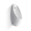 Bồn tiểu nam treo tường Viglacera T1