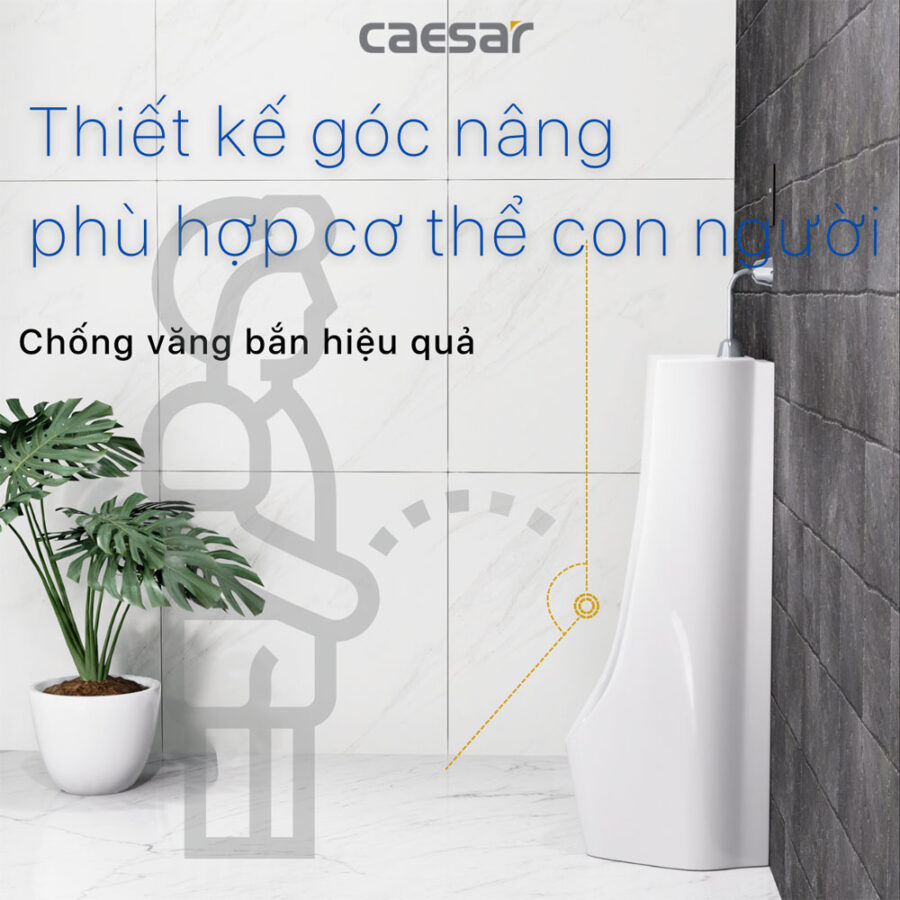 Bồn tiểu nam đặt sàn kèm van xả cảm ứng Caesar U0239+A654